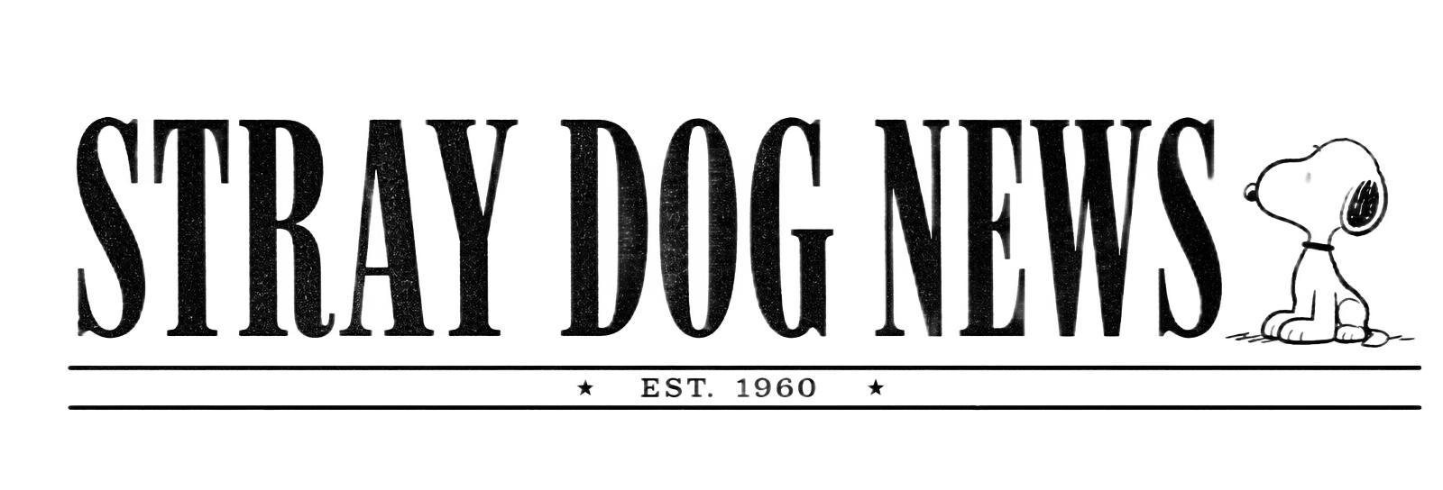 Stray Dog News